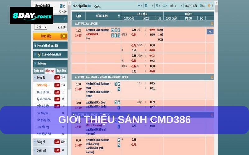 Giới Thiệu tổng quan Sảnh CMD 368 tại 8Day