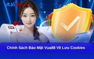Mục đích của Chính Sách Bảo Mật Vua88