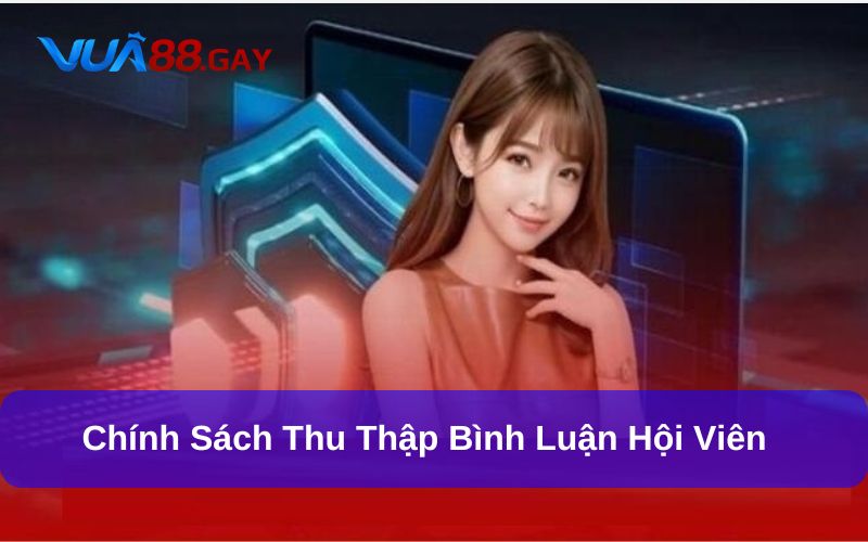 Những thông tin Vua88 thu thập