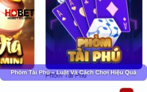 Cách chơi cơ bản