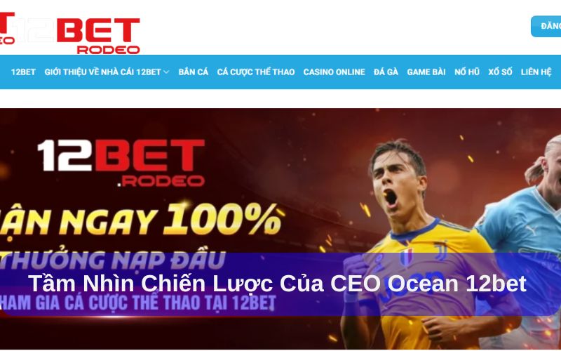 Chiến lược phát triển của CEO Ocean 12bet